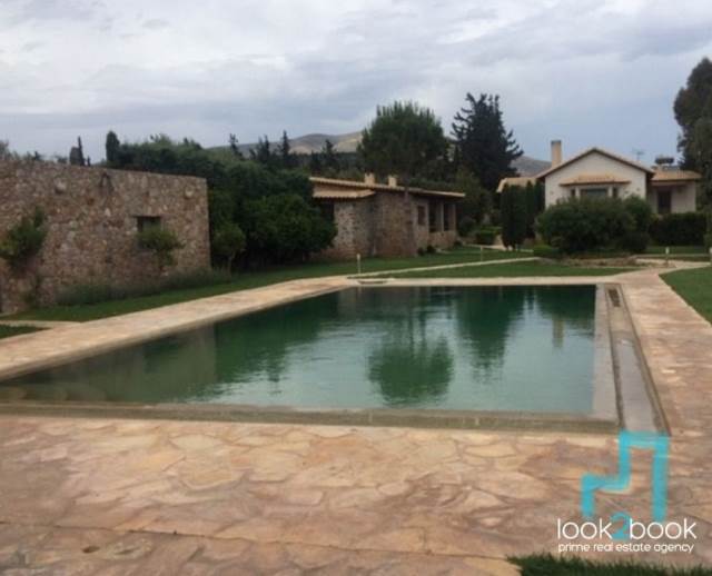 FANTASTIC VILLA WITH SWIMMING POOL AND GARDEN IN ANAVYSSOS AREA  