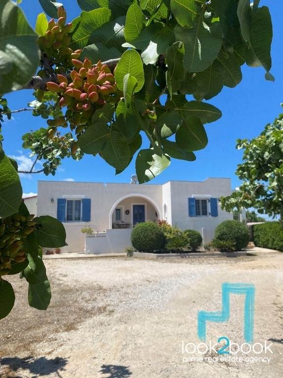 ΕΝΟΙΚΙΑΣΗ ΒΙΛΑΣ-ΜΟΝΟΚΑΤΟΙΚΙΑΣ ΣΤΗΝ ΑΙΓΙΝΑ 150M AΠΟ ΤΗΝ ΘΑΛΑΣΣΑ 