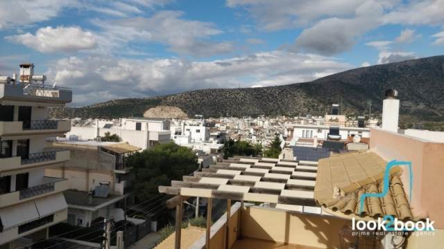 ΜΕΖΟΝΕΤΑ ΣΕ ΠΟΛΥ ΚΑΛΗ ΚΑΤΑΣΤΑΣΗ ΣΤΗΝ ΤΕΡΨΙΘΕΑ 