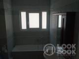 slide1 thumbnail